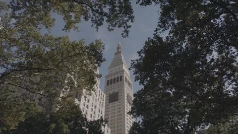 NYC Madison Square Park 4 스톡 동영상 276942529