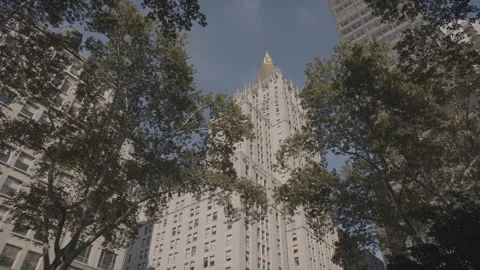 NYC Madison Square Park 5 Stock Footage 276942534