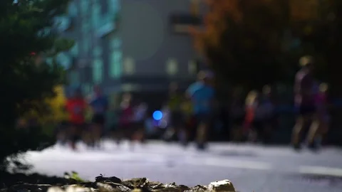 NYC MARATHON - Runners out of focus Video stock 129321573