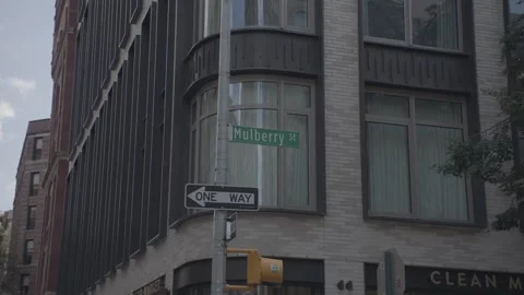 NYC Mulberry St 1 Stock Footage 276944352