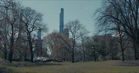 NYC Park Establishing 스톡 동영상 152350413