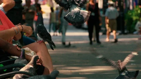 NYC park -summer time 動画素材 102476371