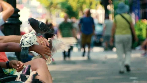NYC park -summer time Washington Square Park 動画素材 102476170