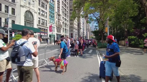The NYC Pride March Stock Footage 247232850