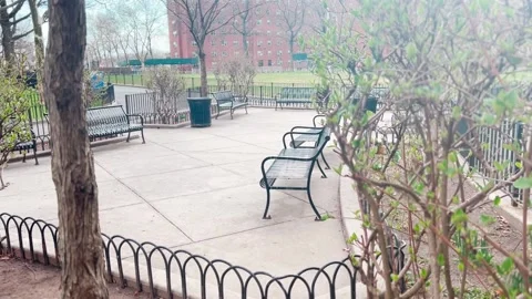 NYC PROJECT BUILDING COURTYARD Stock Footage 180062838