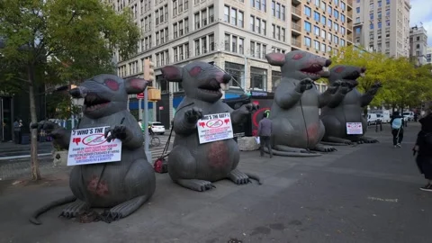 NYC Rat balloons protest in Union Square Park, New York City - 4K Stock Footage 321249982