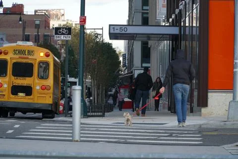 NYC sidewalk view Stock Photos