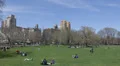 NYC Skyline, Central Park Early Spring Family Picnic People Relaxing Walking Sit HD Footage