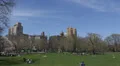 NYC Skyline Central Park Early Spring Crowd People Walking Sitting Grass Lawn US HD Footage