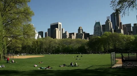 NYC Skyline From Central Park Video stock 11301123