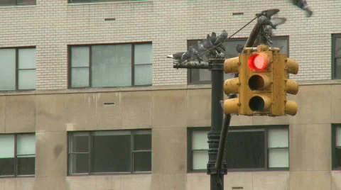 NYC Traffic Lights (2 of 3) Stock Footage 112016
