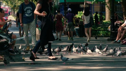 NYC- Washington Square Park 動画素材 102476107