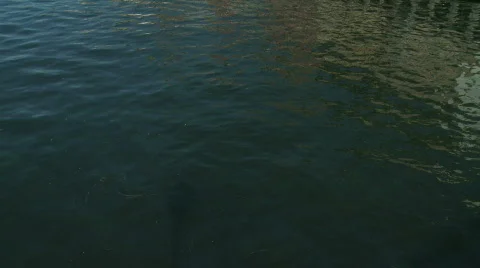 Nyhavn 001 Stock Footage 768702