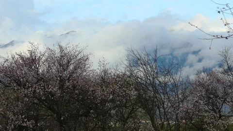 Nyingchi Prefecture in Tibet Stock Footage 167987614