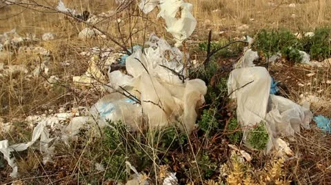 Nylon bags and pollution Stock Footage