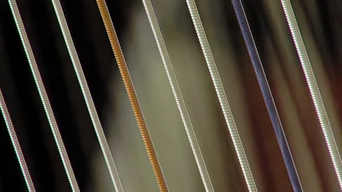 Nylon Harp Strings in a Paraguayan Harp. Close-Up. Zoom In. Stock Footage 96147525