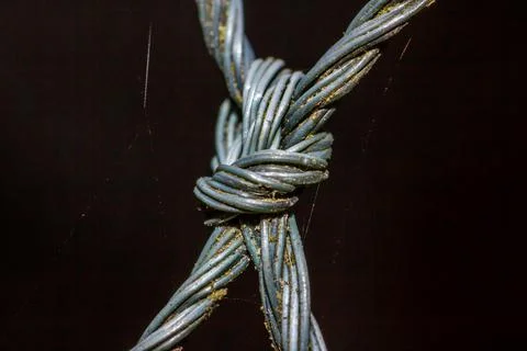 Nylon mesh ties Foto stock