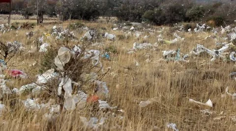 Nylon in nature Stock Footage 12229449