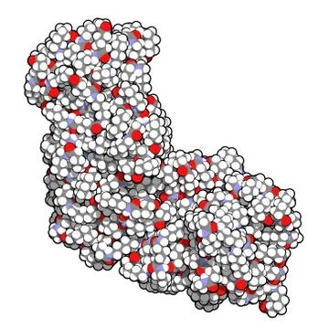 Nylon (nylon-6,6) plastic polymer, chemical structure. Stock Illustration