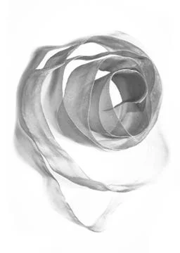 Nylon roll tape Stock Photos