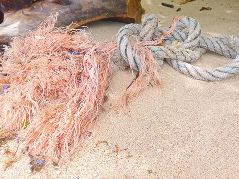 Nylon rope on the beach Stock Photos