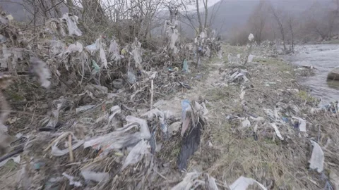 Nylons and plastic on branches along the river bank in Bulgaria Stock-Footage 152815367
