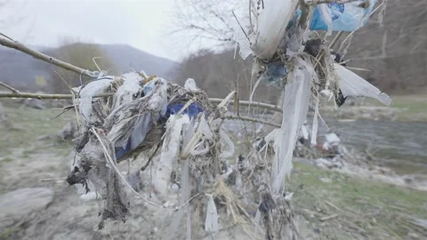 Nylons and plastic hang on a branch above a river of people Stock-Footage 152815371