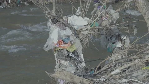 Nylons on branches above a river Stock-Footage 149245697