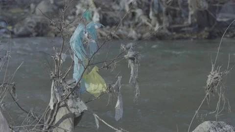 Nylons on branches along the river Stock-Footage 149245677