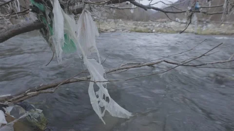 Nylons hang on a branch above a river of human waste Stock-Footage 152815507