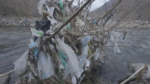 Nylons hang on a tree over a river of human waste Stock-Footage 152815564