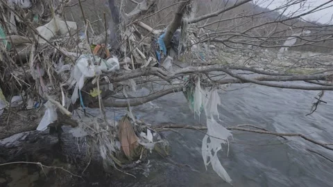 Nylons hanging on a tree over a river Stock-Footage 152815572