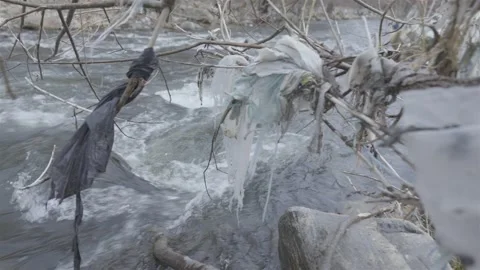 Nylons hung on tree branches sway in the wind over a river Stock-Footage 152907447
