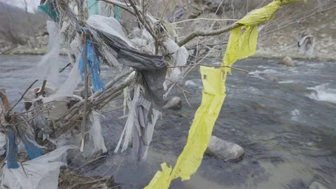 Nylons on tree branches sway in the wind over a river Stock-Footage 152906737
