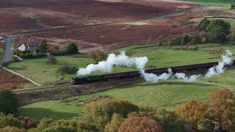 NYMR Flying Scotchman  Stock Footage 336310950