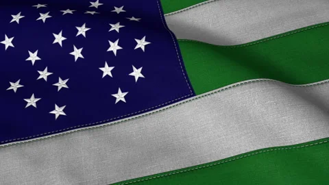 NYPD Flag Loop Video stock 241269970