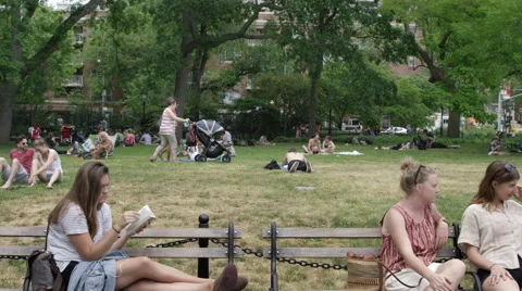 NYU student reading summer 4K Washington Square Park NYC Vídeos de archivo 50993438