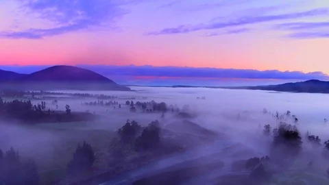 NZ Fog beauty green 4k Stock Footage