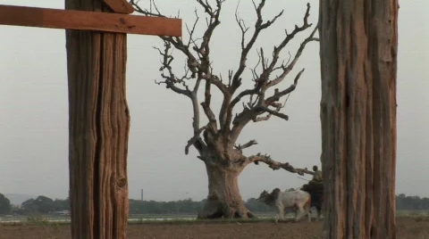 O53-54 Stock Footage 475706