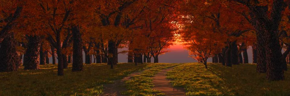 Oad in the forest at sunset Stock Illustration