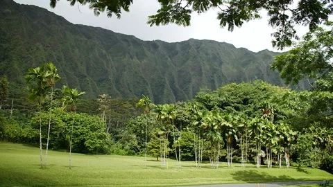 Oahu 157 Stock Footage 155495437