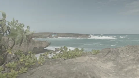 Oahu Hawaii Stock Footage 266184426
