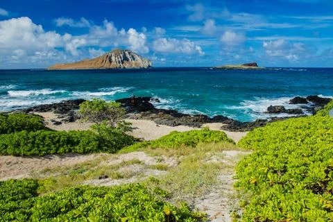 OAHU - HAWAII - POLYNESIA Stock Photos