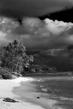 OAHU - HAWAII - POLYNESIA Stock Photos