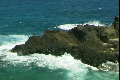 Oahu Ironshore Vídeo Stock 819218