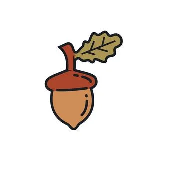 Oak acorn element vector illustration concept design Stock Illustration