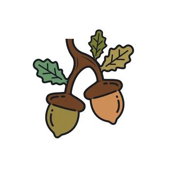 Oak acorn element vector illustration concept design Stock Illustration