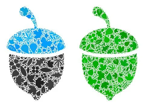 Oak Acorn Icon Botany Composition of Leaves Illustrazione stock