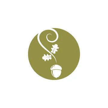 Oak acorn vector illustration design Stock Illustration