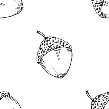 Oak acorns seamless pattern. Hand drawn acorn seamless pattern. Stock Illustration